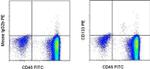 CD133 (Prominin-1) Antibody in Flow Cytometry (Flow)