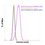 CD140a (PDGFRA) Antibody