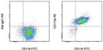 CD172a (SIRP alpha) Antibody in Flow Cytometry (Flow)