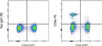 Rat IgG1 kappa Isotype Control in Flow Cytometry (Flow)