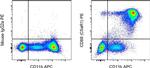 Mouse IgG2a kappa Isotype Control in Flow Cytometry (Flow)