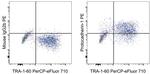 Mouse IgG2b kappa Isotype Control in Flow Cytometry (Flow)