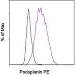 Podoplanin Antibody in Flow Cytometry (Flow)