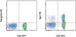 EGR1 Antibody in Flow Cytometry (Flow)
