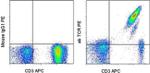 TCR alpha/beta Antibody in Flow Cytometry (Flow)