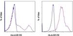 HLA-DR Antibody in Flow Cytometry (Flow)