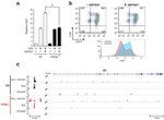 CD71 (Transferrin Receptor) Antibody in Flow Cytometry (Flow)