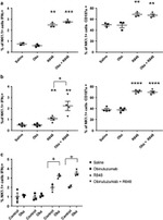 CD107a (LAMP-1) Antibody in Flow Cytometry (Flow)