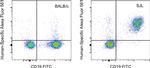 CD45R (B220) Antibody in Flow Cytometry (Flow)