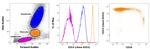 CD14 Antibody