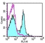 CD27 Antibody in Flow Cytometry (Flow)