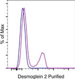 Mouse IgG2b kappa Isotype Control in Flow Cytometry (Flow)