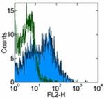 CD184 (CXCR4) Antibody in Flow Cytometry (Flow)