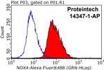 NOX4 Antibody in Flow Cytometry (Flow)