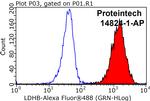 LDHB Antibody in Flow Cytometry (Flow)