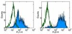 CD11b Antibody in Flow Cytometry (Flow)