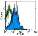 CD184 (CXCR4) Antibody in Flow Cytometry (Flow)