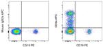 CD8a Antibody in Flow Cytometry (Flow)