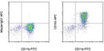CD163 Antibody in Flow Cytometry (Flow)