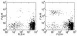 CD193 (CCR3) Antibody in Flow Cytometry (Flow)