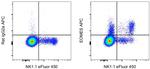 EOMES Antibody in Flow Cytometry (Flow)