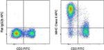 MHC Class II (I-A/I-E) Antibody in Flow Cytometry (Flow)