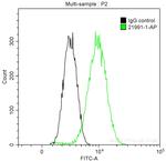 PKC alpha Antibody in Flow Cytometry (Flow)