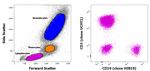 CD3/CD19 Antibody in Flow Cytometry (Flow)