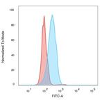 SIRT2 Antibody in Flow Cytometry (Flow)