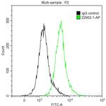 Osteopontin Antibody in Flow Cytometry (Flow)