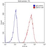 CD2 Antibody in Flow Cytometry (Flow)