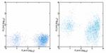 CD38 Antibody in Flow Cytometry (Flow)