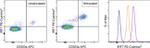 IRF7 Antibody in Flow Cytometry (Flow)