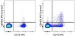 CD137 Ligand (4-1BB Ligand) Antibody in Flow Cytometry (Flow)