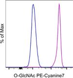 O-GlcNAc Antibody in Flow Cytometry (Flow)