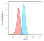 GAD1/GAD67 (GABAergic Neuronal Marker) Antibody in Flow Cytometry (Flow)