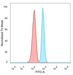 ZNF81/Zinc finger protein 81 (Transcription Factor) Antibody in Flow Cytometry (Flow)