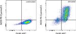 iNOS Antibody in Flow Cytometry (Flow)