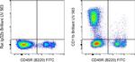 CD11b Antibody in Flow Cytometry (Flow)