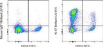 Ki-67 Antibody in Flow Cytometry (Flow)