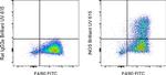 iNOS Antibody in Flow Cytometry (Flow)