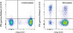 IFN gamma Antibody in Flow Cytometry (Flow)