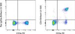 Rat IgG2a kappa Isotype Control in Flow Cytometry (Flow)