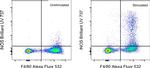 iNOS Antibody in Flow Cytometry (Flow)