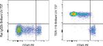 TER-119 Antibody in Flow Cytometry (Flow)