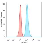 JunB/Transcription Factor JunB Antibody in Flow Cytometry (Flow)