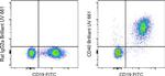 CD40 Antibody in Flow Cytometry (Flow)