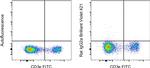 Rat IgG2a kappa Isotype Control in Flow Cytometry (Flow)