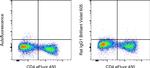 Rat IgG1 kappa Isotype Control in Flow Cytometry (Flow)