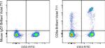 CD8a Antibody in Flow Cytometry (Flow)